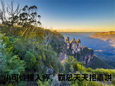 小可怜撞入怀，霸总天天抱着哄免费宋琦琦孙熠柠读无弹窗最新章节列表_笔趣阁（小可怜撞入怀，霸总天天抱着哄）