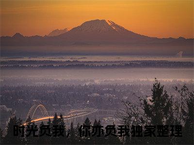 苏慧雅冷庭夜（时光负我，你亦负我）全文小说-苏慧雅冷庭夜小说最新章节免费阅读（免费）+（全文）