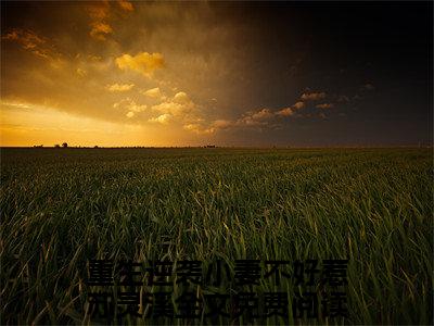 重生逆袭小妻不好惹苏灵溪（重生逆袭小妻不好惹苏灵溪）全文免费阅读无弹窗大结局_重生逆袭小妻不好惹苏灵溪完整章节阅读