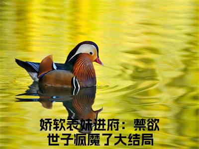 沈姝李煊：娇软表妹进府：禁欲世子疯魔了全文免费阅读无弹窗大结局_（沈姝李煊）娇软表妹进府：禁欲世子疯魔了最新章节列表笔趣阁