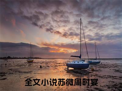 苏微周时宴免费小说-苏微周时宴已更新最新章节