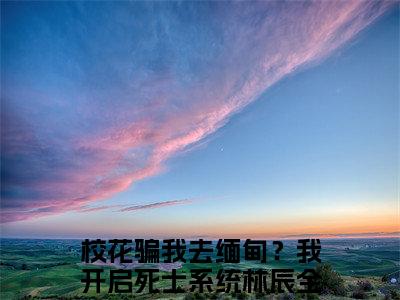 校花骗我去缅甸？我开启死士系统林辰小说精彩章节今日阅读更新-（校花骗我去缅甸？我开启死士系统林辰小说）免费阅读小说全文