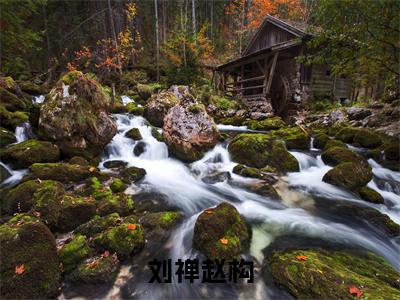 南宋，如果刘禅穿越成为赵构小说（刘禅赵构已完结小说全集完整版大结局）刘禅赵构小说全文阅读笔趣阁
