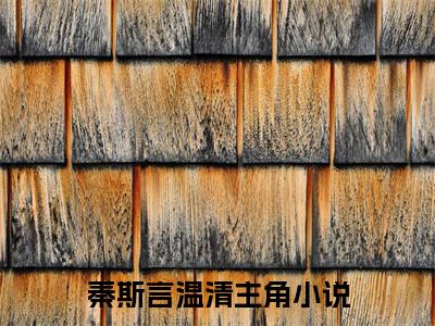 秦斯言温清（秦斯言温清）小说推荐精彩章节全文阅读-热门小说秦斯言温清精选章节阅读