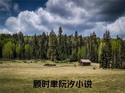 顾时聿阮汐小说（顾时聿阮汐）最新章节阅读-最新热点小说顾时聿阮汐