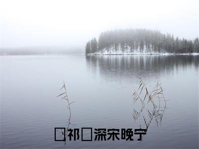 祁璟深宋晚宁（祁璟深宋晚宁）全文免费阅读无弹窗_祁璟深宋晚宁小说最新章节列表无删减_笔趣阁