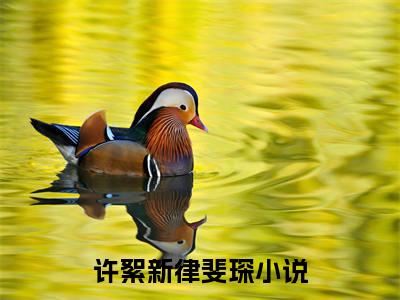 许絮新律斐琛小说免费阅读(许絮新律斐琛)全文免费阅读无弹窗大结局_ 许絮新律斐琛最新章节列表_笔趣阁（许絮新律斐琛小说）