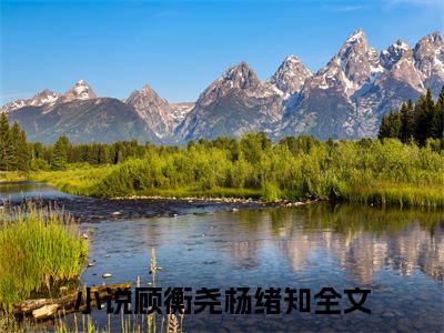 顾衡尧杨绪知(顾衡尧杨绪知)全文免费阅读无弹窗大结局_顾衡尧杨绪知小说（顾衡尧杨绪知）最新章节列表笔趣阁（顾衡尧杨绪知）