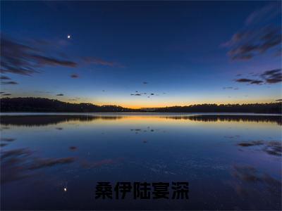 桑伊陆宴深小说全文阅读-（桑伊陆宴深）小说大结局