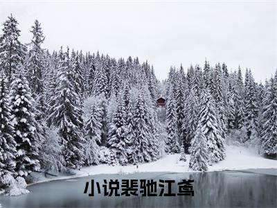 裴驰江鸢小说全文(裴驰江鸢)免费阅读全文无弹窗大结局_ 裴驰江鸢免费阅读无弹窗小说_笔趣阁