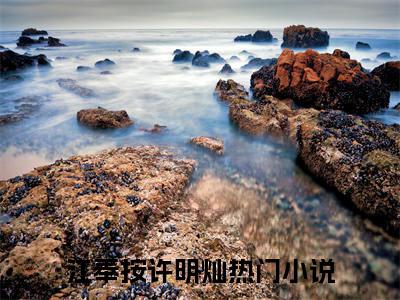 江奉按许明灿（江奉按许明灿）全文免费阅读无弹窗大结局_（江奉按许明灿）免费阅读无弹窗最新章节列表