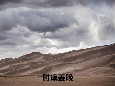 时凛姜晚小说在线阅读全文完整版免费阅读_时凛姜晚小说免费最新章节列表