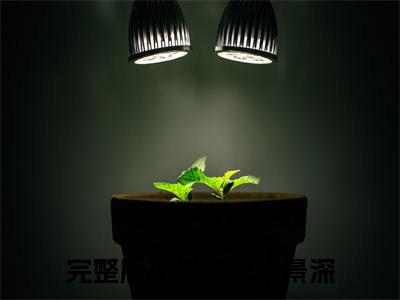 末世小废物被大佬圈养后小说（唐棠段景深）全文免费阅读无弹窗大结局_唐棠段景深小说最新章节_笔趣阁（末世小废物被大佬圈养后）