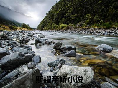 斯耀帝娇（斯耀帝娇）火热新书无弹窗大结局_（斯耀帝娇）最新章节列表_笔趣阁