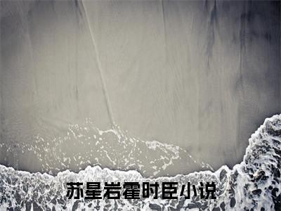 苏星岩霍时臣全文免费阅读无弹窗大结局_（苏星岩霍时臣）完整版全文在线赏析