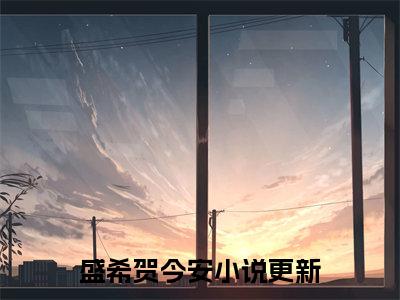 热点小说盛希贺今安，盛希贺今安免费章节阅读