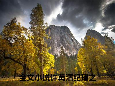 许苒清纪瑾之小说精彩章节今日阅读更新-（许苒清纪瑾之小说）免费阅读小说全文