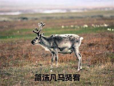 简沫凡马贤宥（简沫凡马贤宥）全文免费阅读无弹窗大结局_（简沫凡马贤宥无弹窗）_笔趣阁