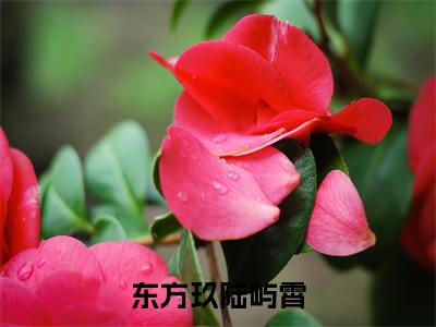东方玖陆屿霄《东方玖陆屿霄小说免费阅读》完整_东方玖陆屿霄小说（东方玖陆屿霄）全文免费阅读大结局