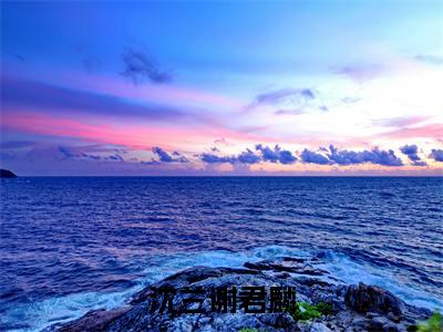 沈兰谢君麟全文免费阅读大结局-（沈兰谢君麟）最新章节列表在线阅读