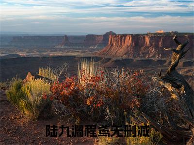 陆九渊程鸢（陆九渊程鸢）最新章节在线阅读-全文小说（陆九渊程鸢）免费阅读