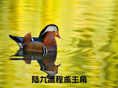 陆九渊程鸢完整版 陆九渊程鸢小说全文在线阅读