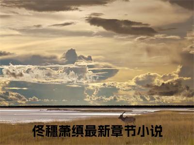 佟穗萧缜最新免费小说全文在线阅读无弹窗大结局_（佟穗萧缜全文在线阅读无弹窗）