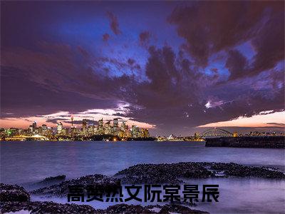 小说(阮棠景辰)免费阅读-阮棠景辰小说全文在线赏析