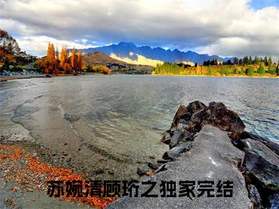 苏婉清顾珩之精彩章节免费阅读_苏婉清顾珩之抖音热推小说最新章节阅读