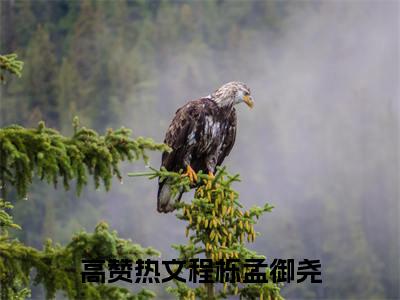 程栎孟御尧全文免费阅读_（程栎孟御尧免费阅读无弹窗）程栎孟御尧最新章节在线阅读笔趣阁