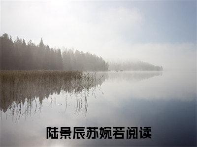 主角为陆景辰苏婉若的小说（陆景辰苏婉若）无弹窗大结局-陆景辰苏婉若最新小说全文阅读最新章节列表_笔趣阁