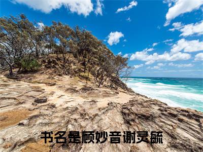 顾妙音谢灵毓小说限时免费，顾妙音谢灵毓完结版小说阅读无弹窗_笔趣阁