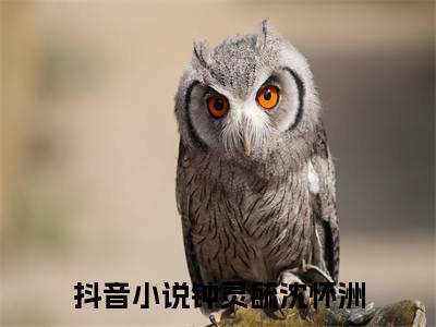 钟灵毓沈怀洲是什么 钟灵毓沈怀洲免费阅读全文