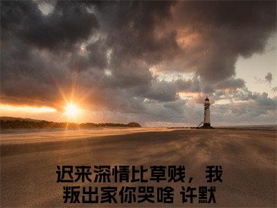 迟来深情比草贱，我叛出家你哭啥 许默迟来深情比草贱，我叛出家你哭啥许默（迟来深情比草贱，我叛出家你哭啥 许默迟来深情比草贱，我叛出家你哭啥许默）全文免费阅读大结局-迟来深情比草贱，我叛出家你哭啥 许默迟来深情比草贱，我叛出家你哭啥许默小说全文免费阅读最新章节列表