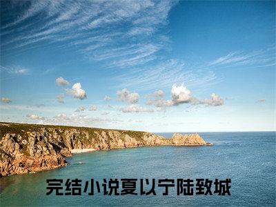 夏以宁陆致城（夏以宁陆致城）全文免费阅读无弹窗大结局_夏以宁陆致城最新章节列表_笔趣阁（夏以宁陆致城）