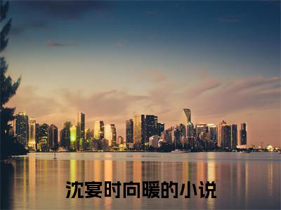 沈宴时向暖（沈宴时向暖）最新章节阅读-热点小说榜单推荐沈宴时向暖