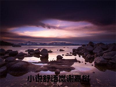 舒语岚谢嘉树小说（舒语岚谢嘉树）全文免费阅读无弹窗-舒语岚谢嘉树最新章节列表-笔趣阁