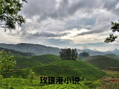 玫瑰港（夏黎谢鄞）今日爆款小说-（玫瑰港）夏黎谢鄞完结大结局免费阅读