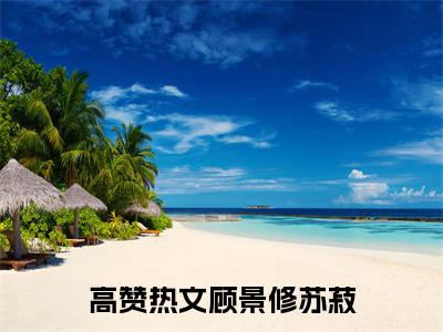 顾景修苏菽已完结全集大结局小说-热门小说（顾景修苏菽）最新章节阅读