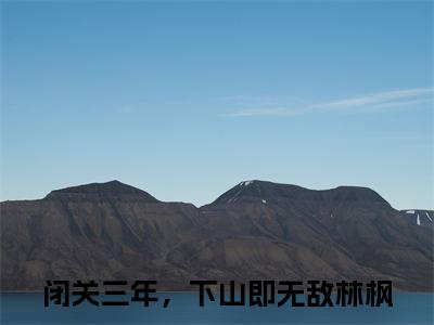 闭关三年，下山即无敌林枫（闭关三年，下山即无敌林枫）最新章节在线阅读-全文小说（闭关三年，下山即无敌林枫）免费阅读