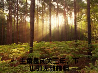 闭关三年，下山即无敌林枫小说大结局免费阅读-完结版闭关三年，下山即无敌林枫小说免费阅读