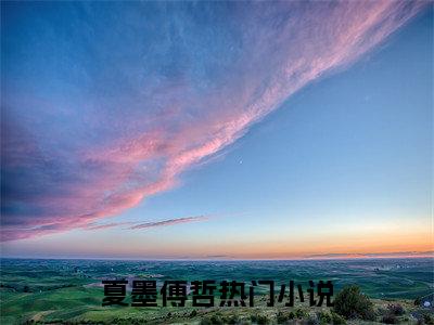 夏墨傅哲是什么小说 夏墨傅哲全本免费阅读