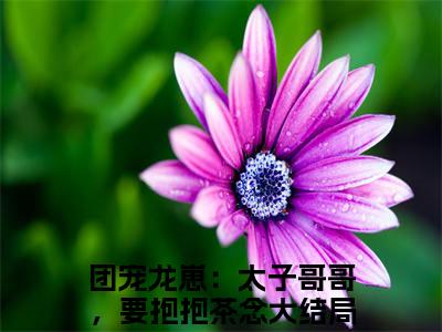 团宠龙崽：太子哥哥，要抱抱茶念小说最新章节（团宠龙崽：太子哥哥，要抱抱茶念）全文免费阅读无弹窗大结局_团宠龙崽：太子哥哥，要抱抱茶念免费阅读（团宠龙崽：太子哥哥，要抱抱茶念小说）