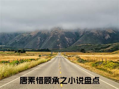 唐素惜顾承之小说全文（唐素惜顾承之）全文免费阅读无弹窗大结局_唐素惜顾承之小说免费最新章节列表_笔趣阁（唐素惜顾承之）