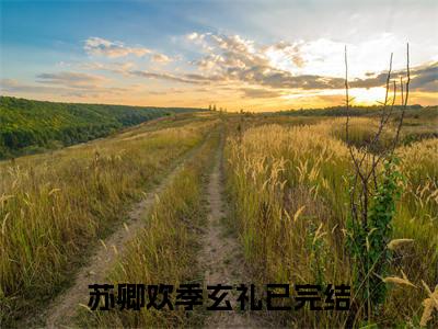 苏卿欢季玄礼（苏卿欢季玄礼）小说全文免费阅读正版无弹窗，苏卿欢季玄礼免费阅读