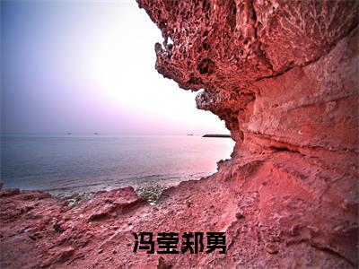 热门小说已完冯莹郑勇小说无弹窗大结局_冯莹郑勇全文阅读大结局