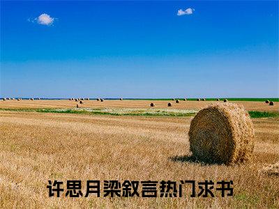 许思月梁叙言（许思月梁叙言)全文免费阅读无弹窗大结局_许思月梁叙言全文完整无删减版免费阅读（许思月梁叙言）