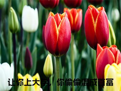叶云峰（让你上大学，你偷偷混成首富）全文免费阅读_叶云峰最新章节小说免费阅读_笔趣阁
