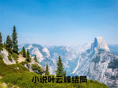 叶云峰（让你上大学，你偷偷混成首富全章节完整版）免费阅读-叶云峰全文无删减阅读