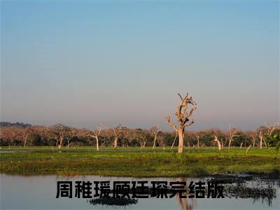 主角是周稚瑗顾廷琛的小说叫什么名字 周稚瑗顾廷琛小说免费阅读